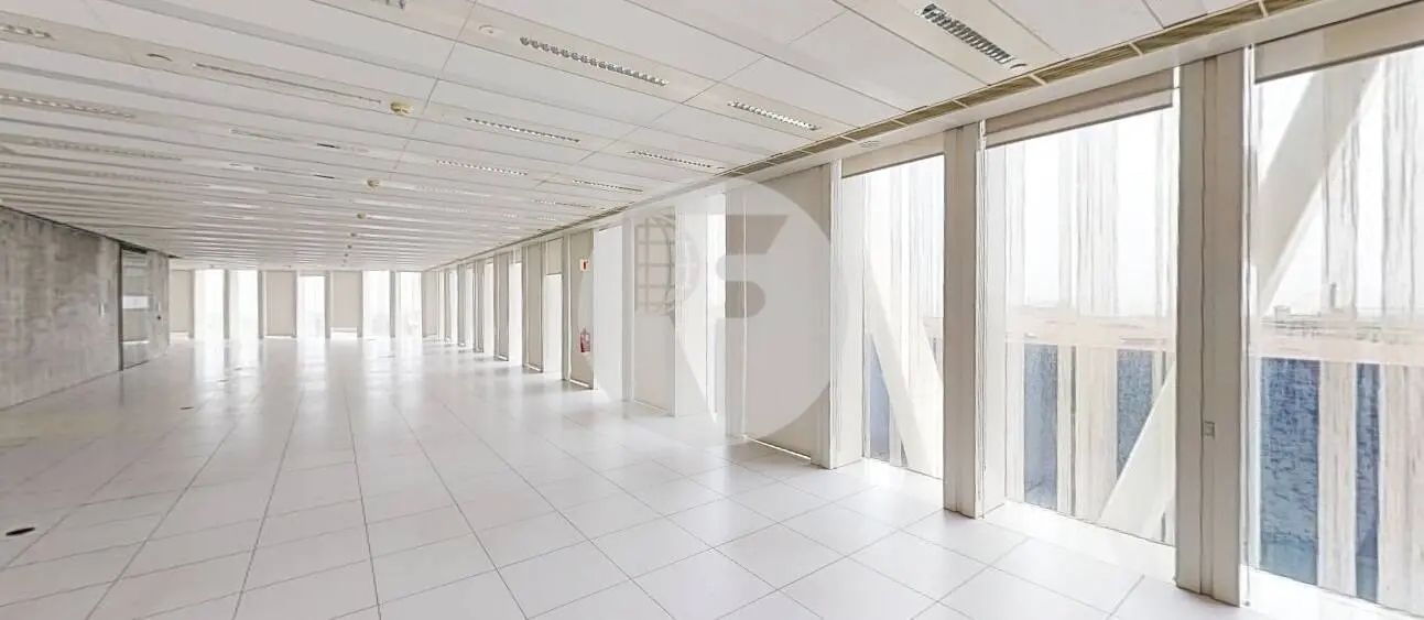 DIAGONAL ONE - imagen 15
