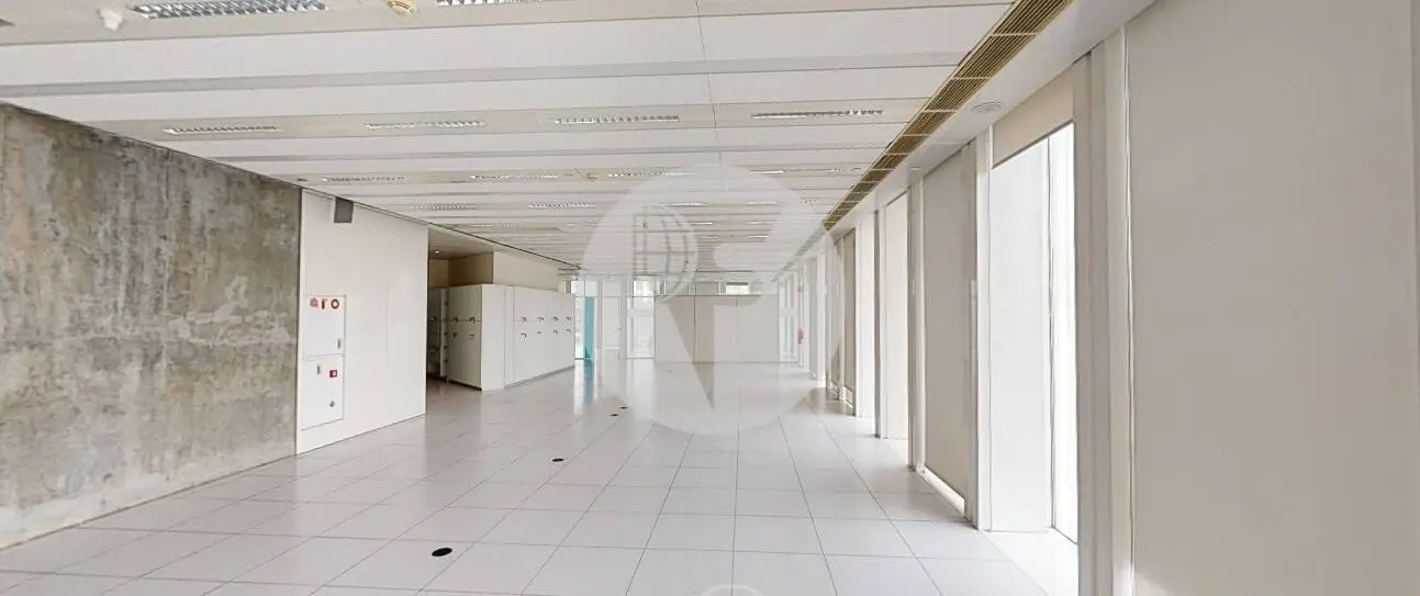 DIAGONAL ONE - imagen 9