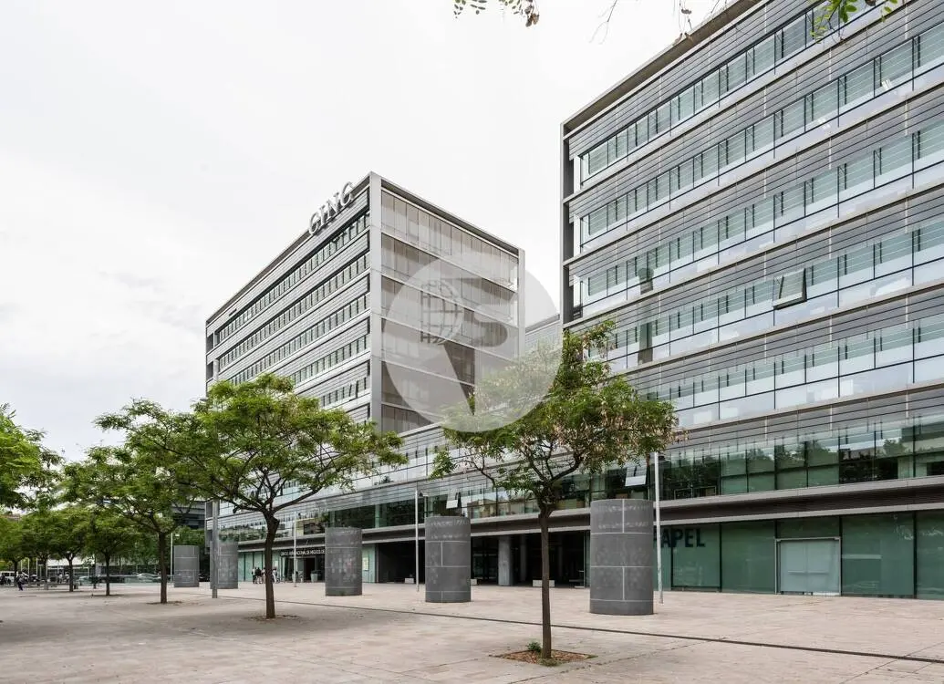 ON BUILDING - imagen 2
