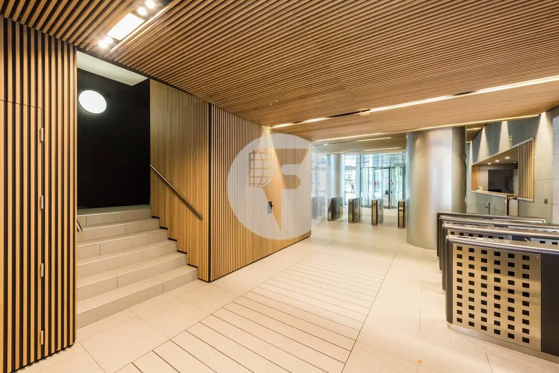 ON BUILDING - imagen 10