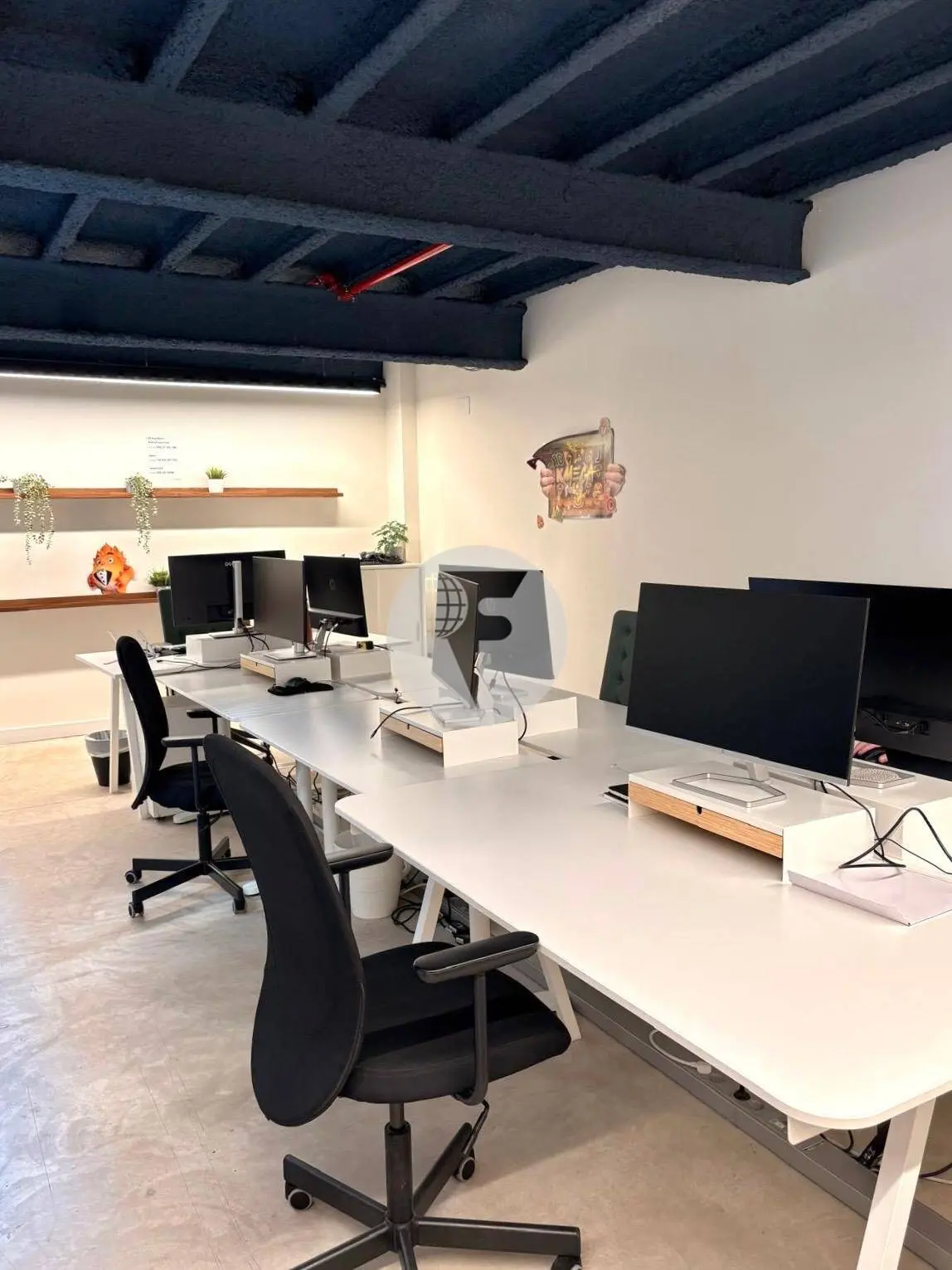 OFICINA DE DISEÑO EN POBLENOU - imagen 18