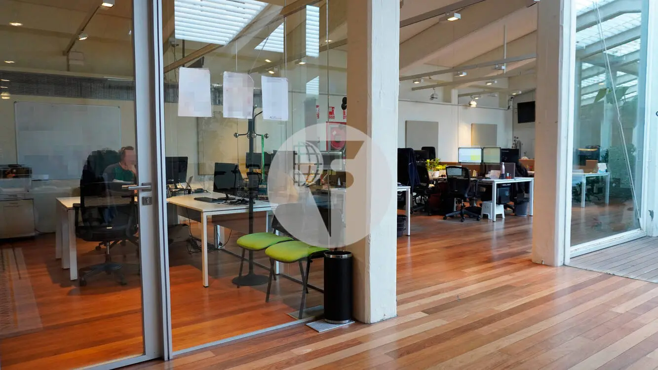 WELLINGTON - imagen 8