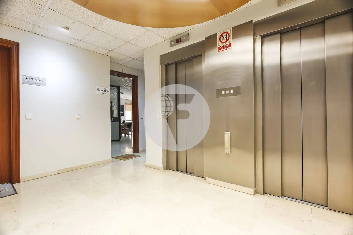 MADRAZO - imagen 11