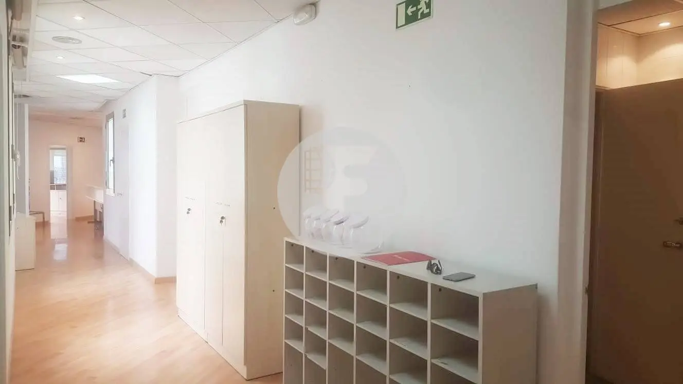 PAU CLARIS - imagen 10