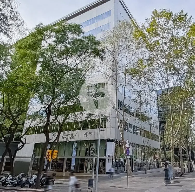 AV. DIAGONAL – ZONA PRIME - imagen 4