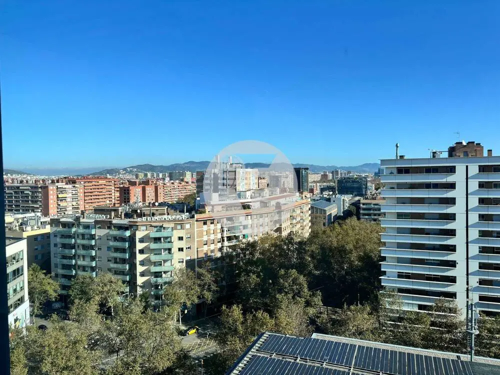 OFICINA IMPLANTADA. EDIFICIO MEDIA COMPLEX. - imagen 5