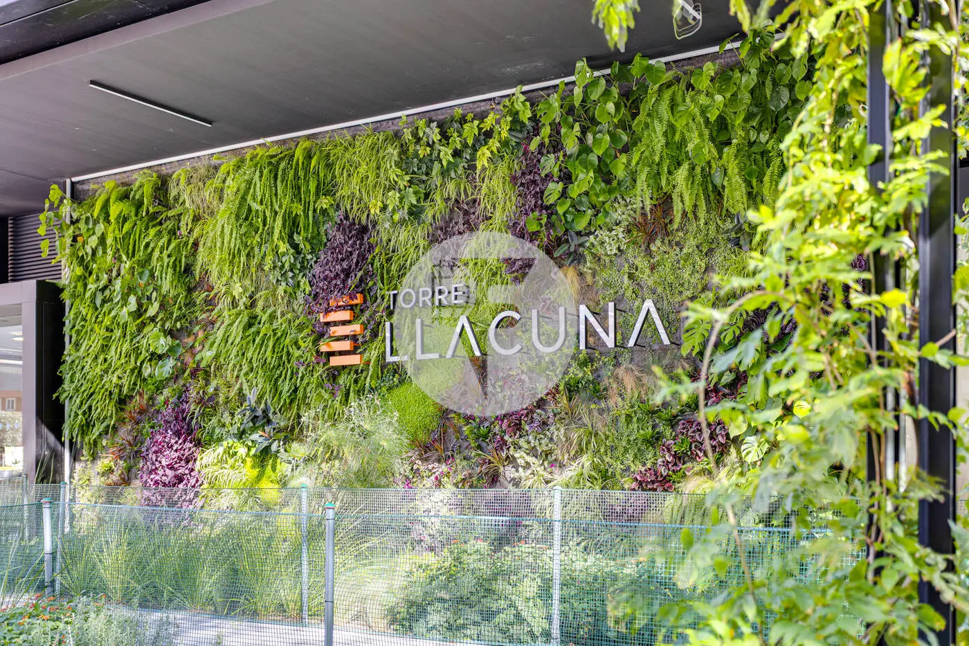 OFICINA PLUG & PLAY EN TORRE LLACUNA – TERRAZA PRIVADA Y VISTAS EN EL 22@ - imagen 38