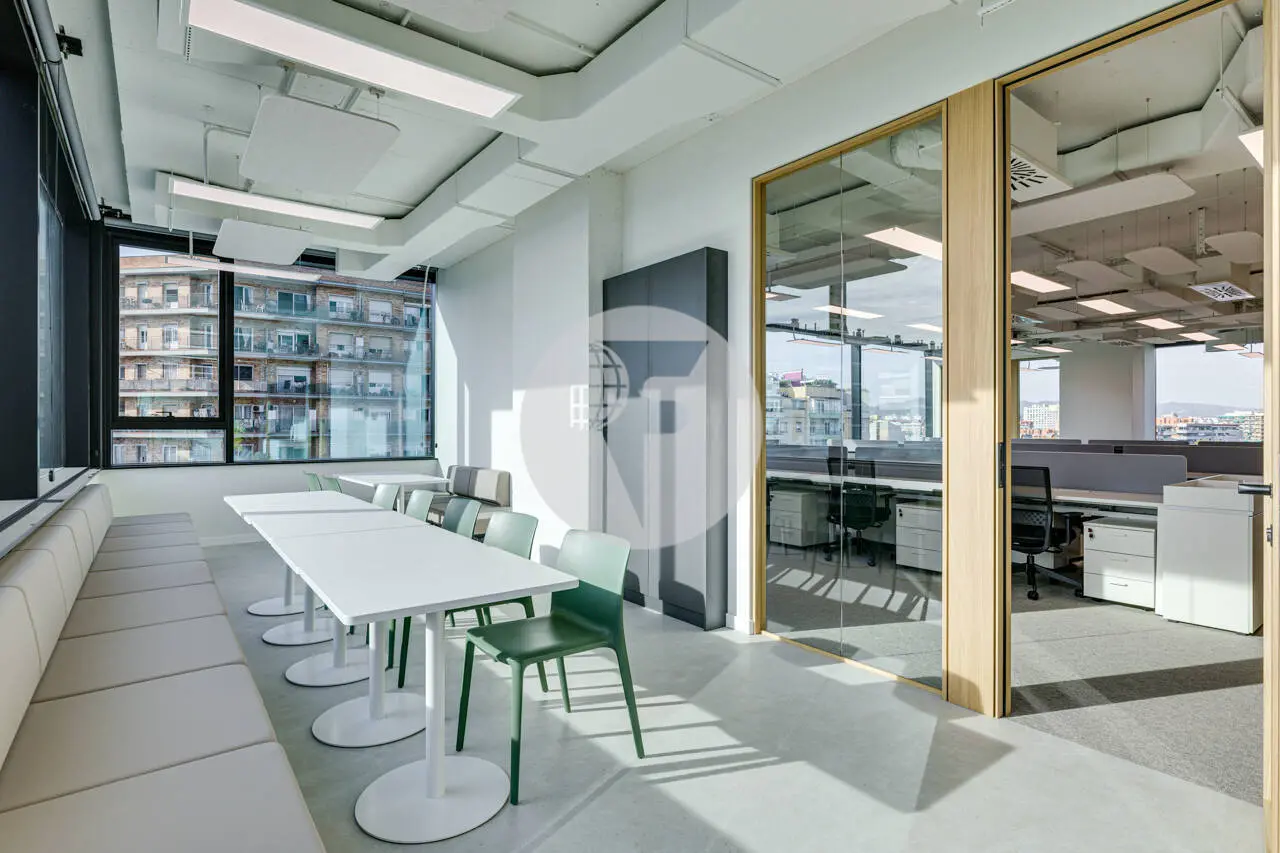OFICINA PLUG & PLAY EN TORRE LLACUNA – TERRAZA PRIVADA Y VISTAS EN EL 22@ - imagen 6