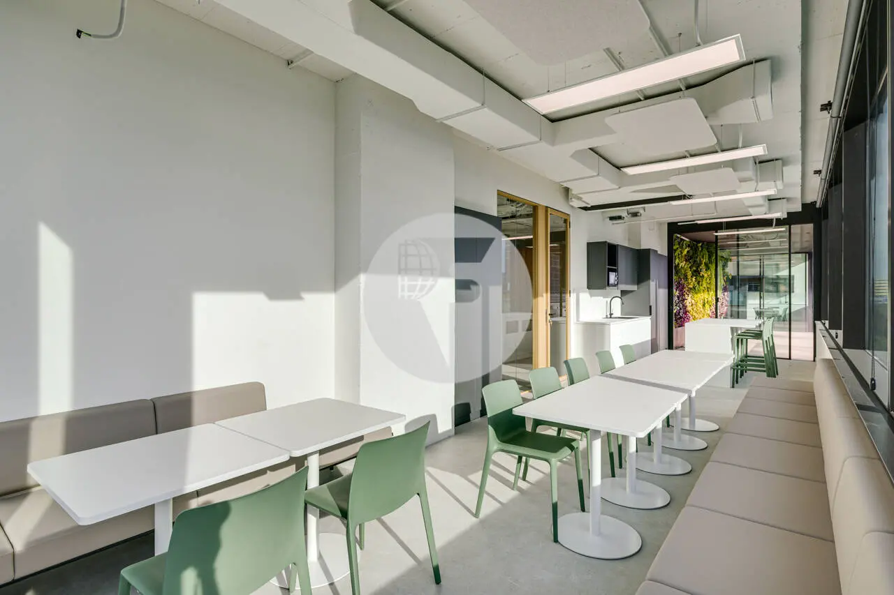 OFICINA PLUG & PLAY EN TORRE LLACUNA – TERRAZA PRIVADA Y VISTAS EN EL 22@ - imagen 9