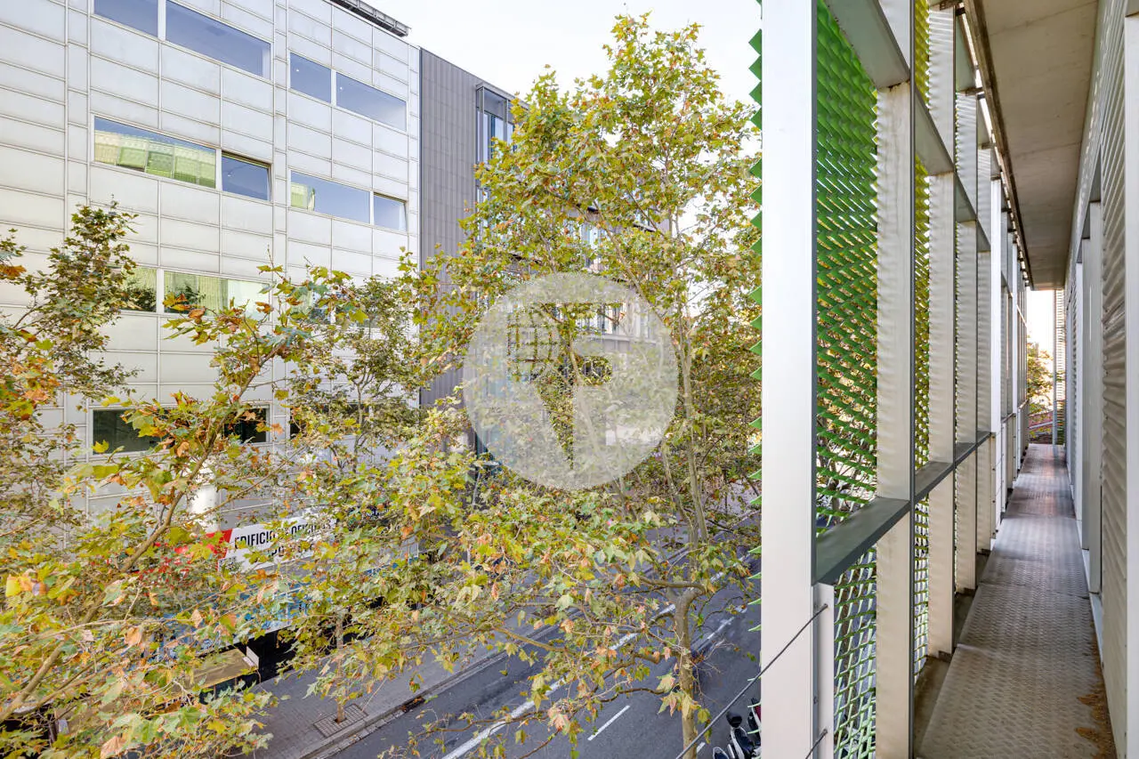 OFICINA DE 213 M² EN ALQUILER EN PALLARS, 22@ BARCELONA, CON ROOFTOP - imagen 26