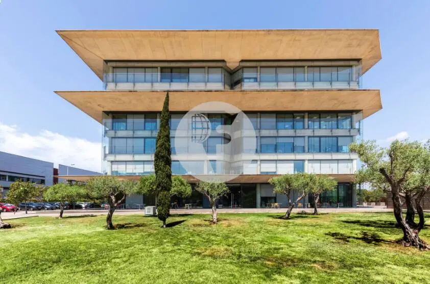OFICINA IMPLANTADA DE 922 M² EN ALQUILER EN PLZF BUSINESS HUB – ZONA FRANCA - imagen 2