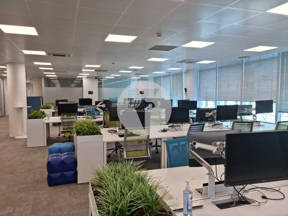 OFICINA IMPLANTADA DE 1.000 M² EN BLUE BUILDING, JUNTO AL MAR Y AL 22@