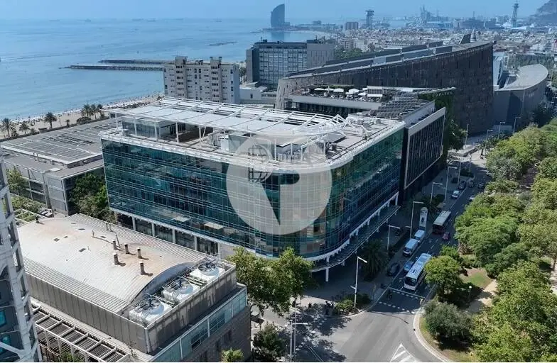 OFICINA IMPLANTADA DE 1.000 M² EN BLUE BUILDING, JUNTO AL MAR Y AL 22@ - imagen 12