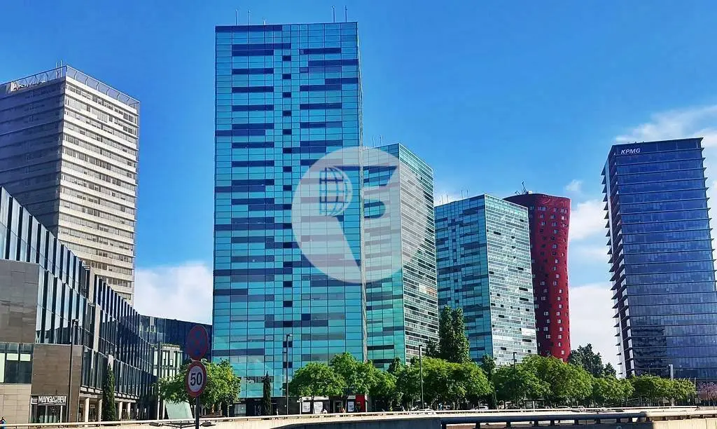 Oficina exterior, moderna y luminosa en Torre Llevant. Pg Zona Franca. Barcelona. 14