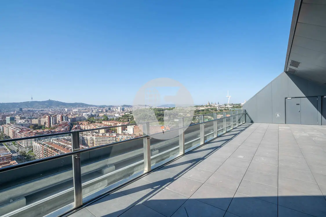 Oficina exterior, moderna i lluminosa a la Torre Llevant. Pg Zona Franca. Barcelona. 3
