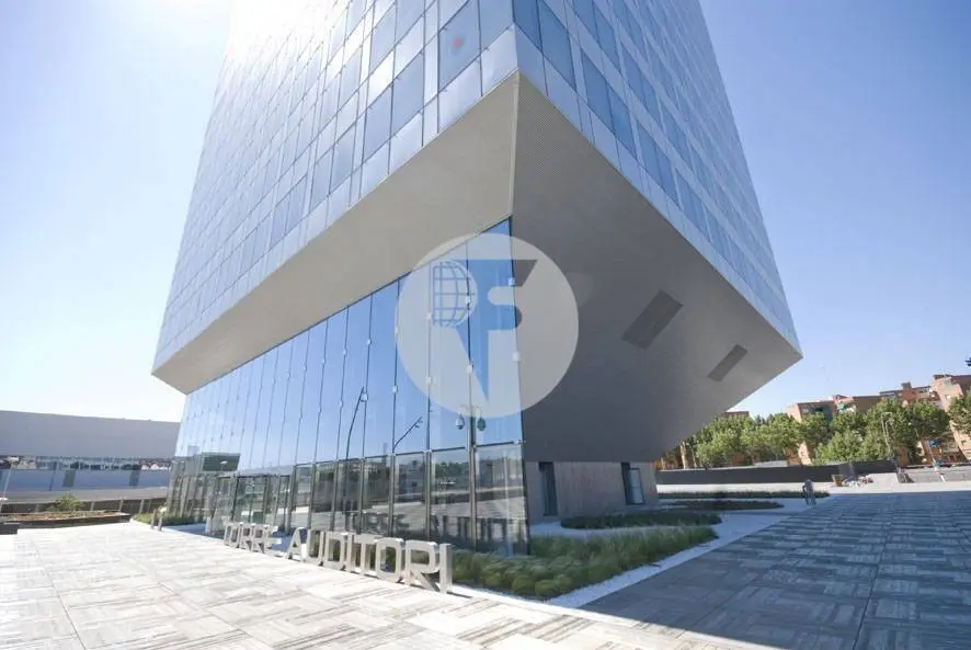 Oficina exterior, moderna y luminosa en Torre Llevant. Pg Zona Franca. Barcelona. 8