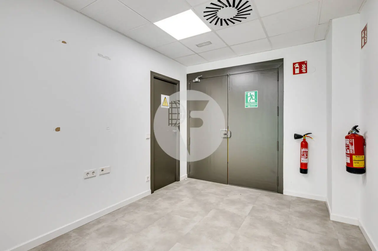 MUNTANER - imagen 19