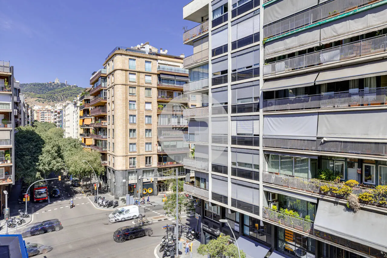 MUNTANER - imagen 23