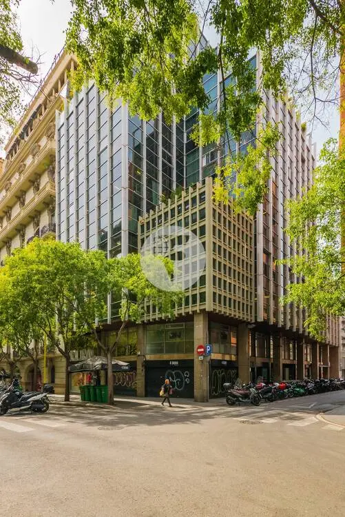Oficina implantada con terrazas privativas en la calle Tuset. Barcelona 3