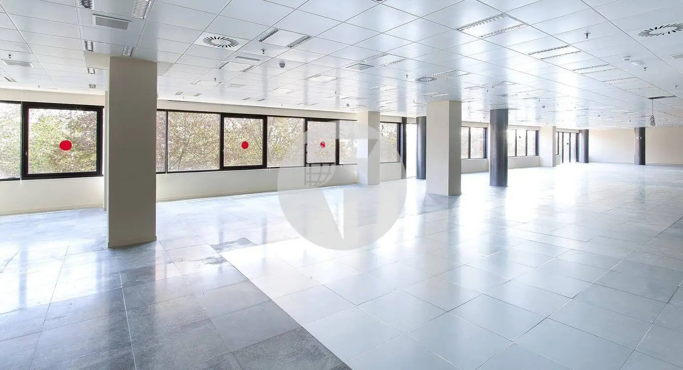 Oficina lluminosa i diàfana en edifici exclusiu. Barcelona Mar. C. Josep Pla 4