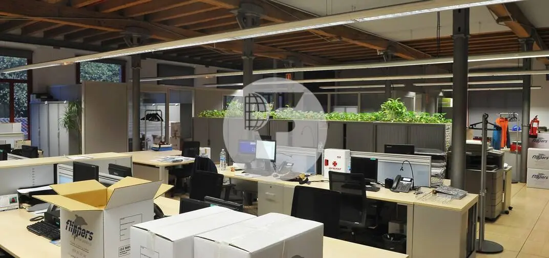 Oficinas en alquiler junto a Colonia Güell | Edificio corporativo singular con excelente conexión a Barcelona - imagen 8