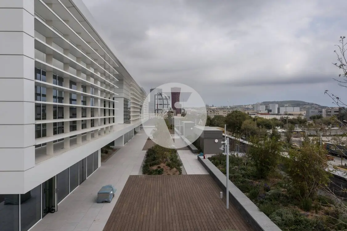 Edificio de oficinas con gran terraza en Av Gran Via de l'Hospitalet de Llobregat. 15