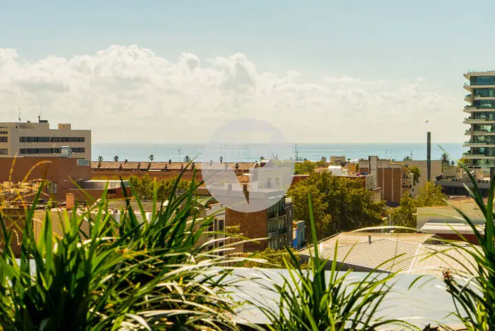 Oficina con terraza con vistas al mar en zona prime del 22@. Mile Llull. Barcelona 13