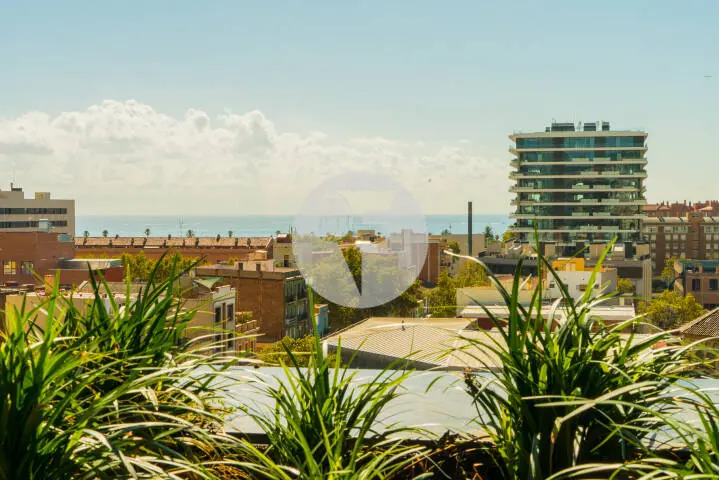 Oficina con terraza con vistas al mar en zona prime del 22@. Mile Llull. Barcelona 5