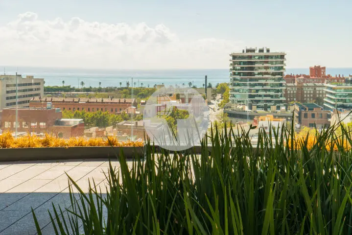 Oficina amb terrassa amb vistes al mar a zona prime del 22@. Mile Llull. Barcelona 20