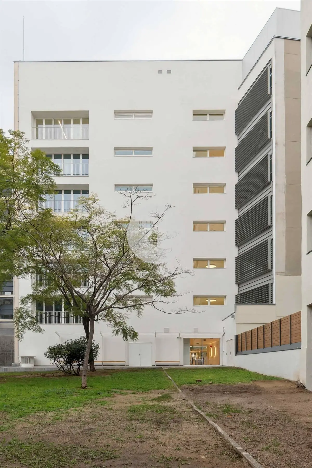 AUSTRAL - imagen 15