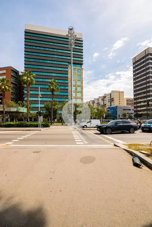 OFICINAS EXCLUSIVAS EN PLAÇA CERDÀ - imagen 3