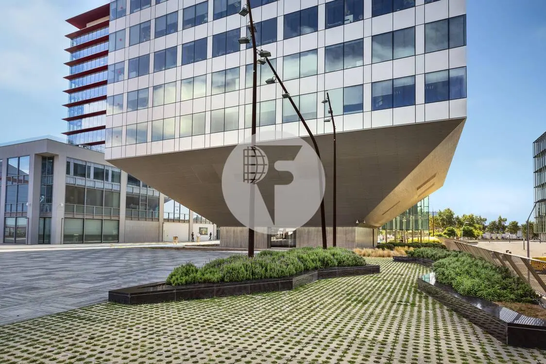 TORRE AUDITORI - imagen 2