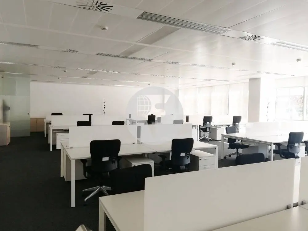 ON BUILDING - imagen 4
