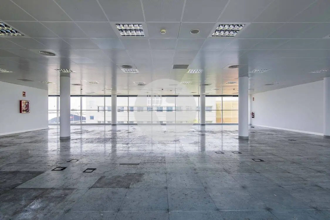BLAU PORT BUILDING - imagen 6