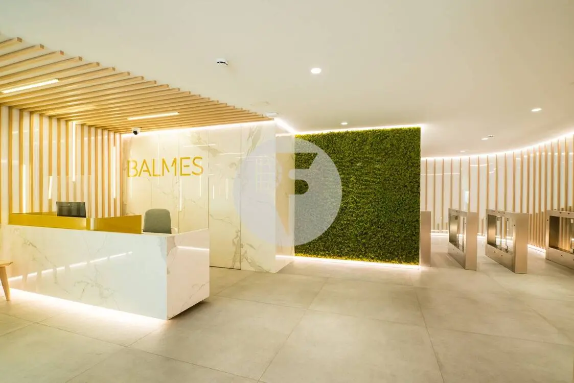 BALMES - imagen 8