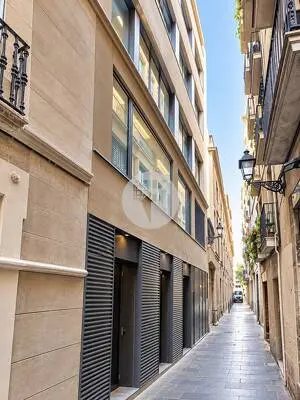 EDIFICI EXCLUSIU D' OFICINES JUNT A LA PL. CATALUNYA