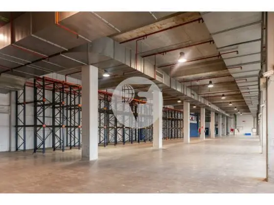 Logistics building for rent of 15,240 m² - Zona Franca, Barcelona. 17
