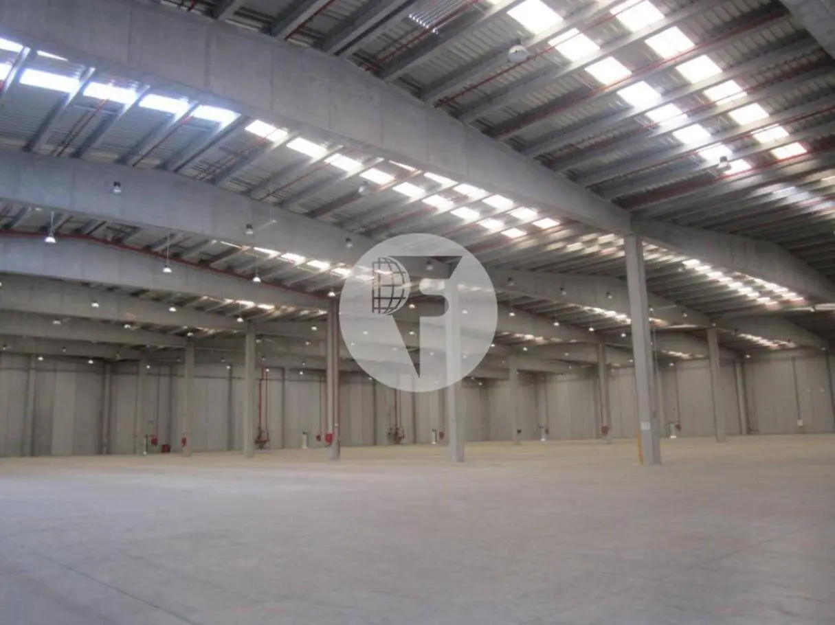 Logistics - industrial warehouse of 9,738 m² for rent - El Pla Santa Maria. Tarragona 3