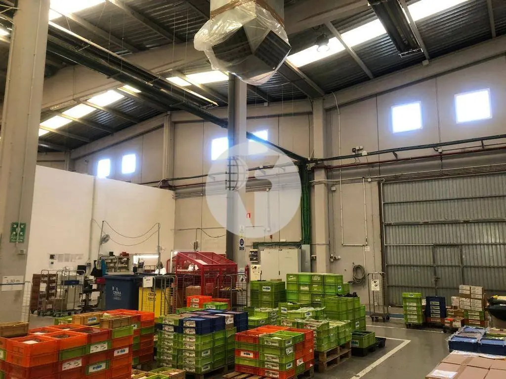 Nave industrial en alquiler de 3.650 m² en Abrera (Barcelona)