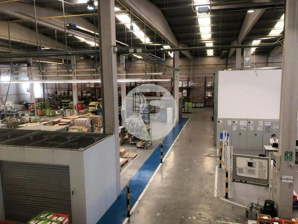 Nave industrial en alquiler de 3.650 m² en Abrera (Barcelona) - imagen 4