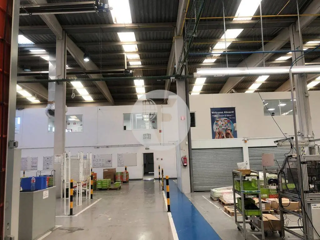 Nave industrial en alquiler de 3.650 m² en Abrera (Barcelona) - imagen 6