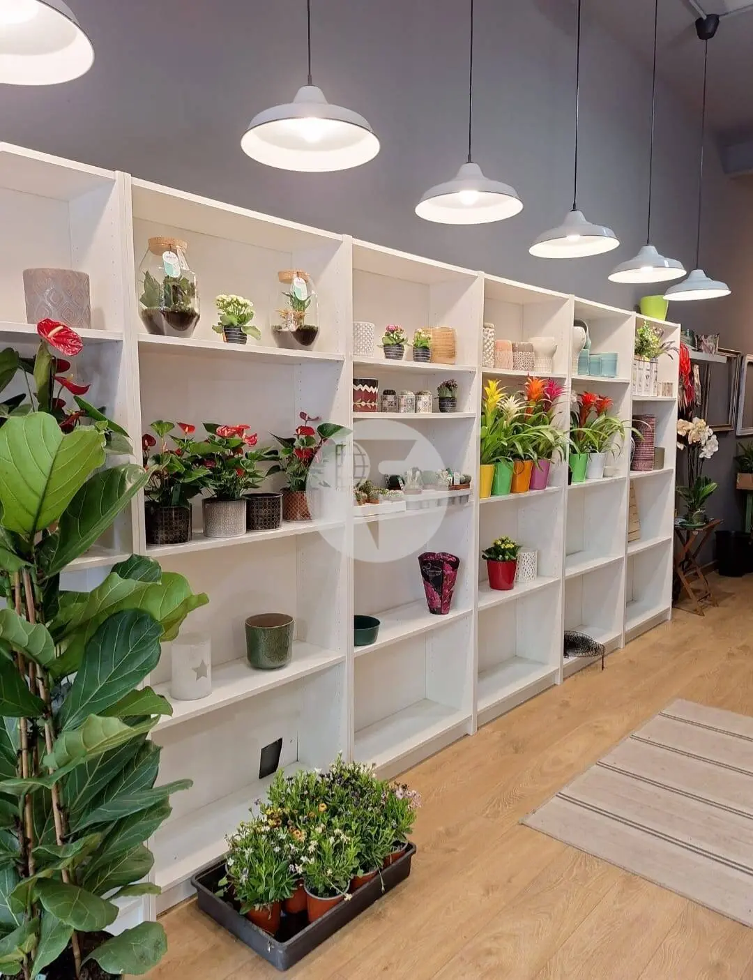Local Comercial en Alquiler en Terrassa – 60 m² en Planta Baja con Excelente Visibilidad - imagen 6