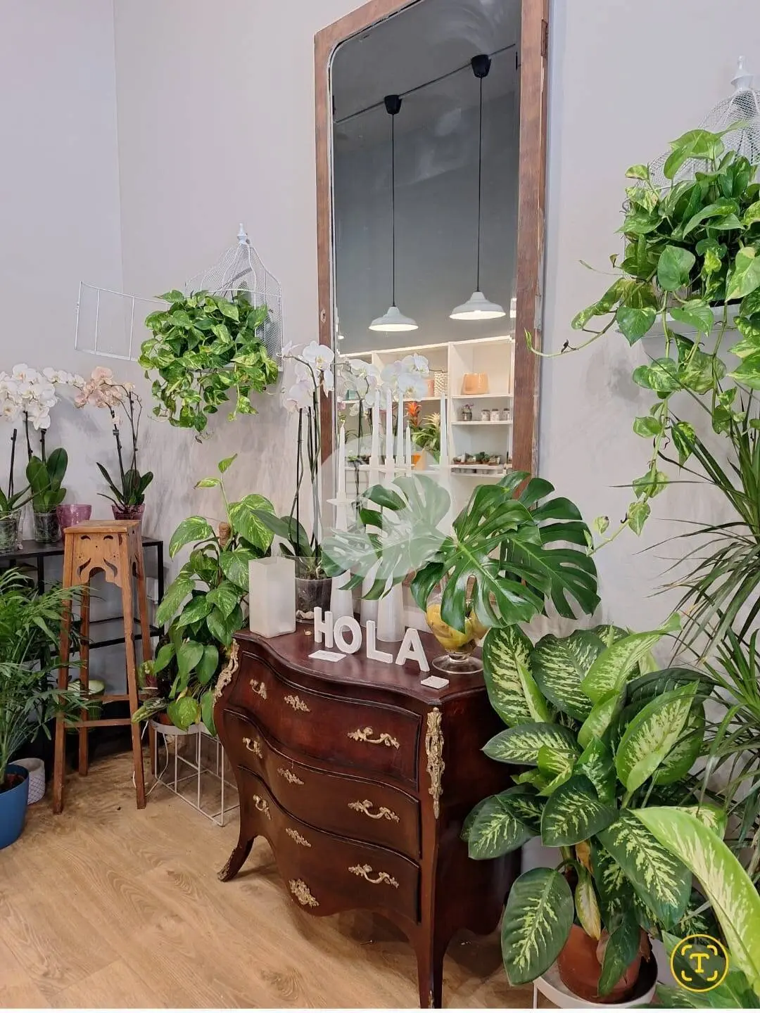 Local Comercial en Alquiler en Terrassa – 60 m² en Planta Baja con Excelente Visibilidad - imagen 5