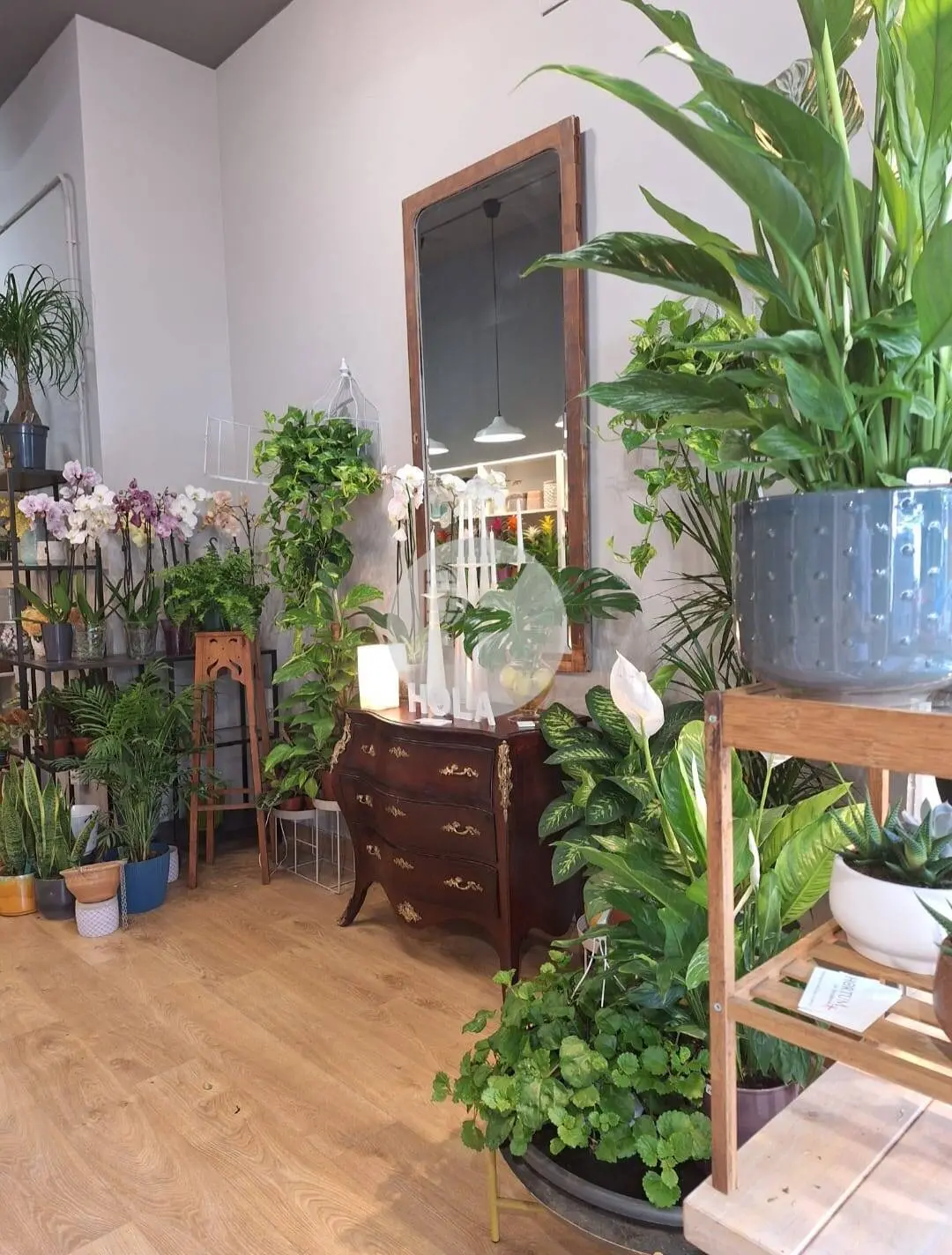 Local Comercial en Alquiler en Terrassa – 60 m² en Planta Baja con Excelente Visibilidad - imagen 3