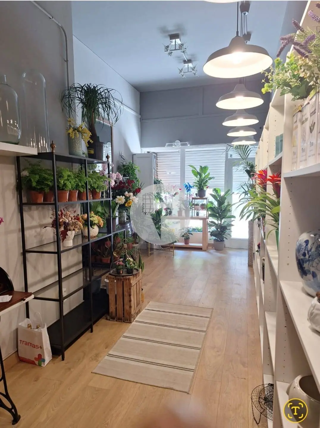 Local Comercial en Alquiler en Terrassa – 60 m² en Planta Baja con Excelente Visibilidad - imagen 4