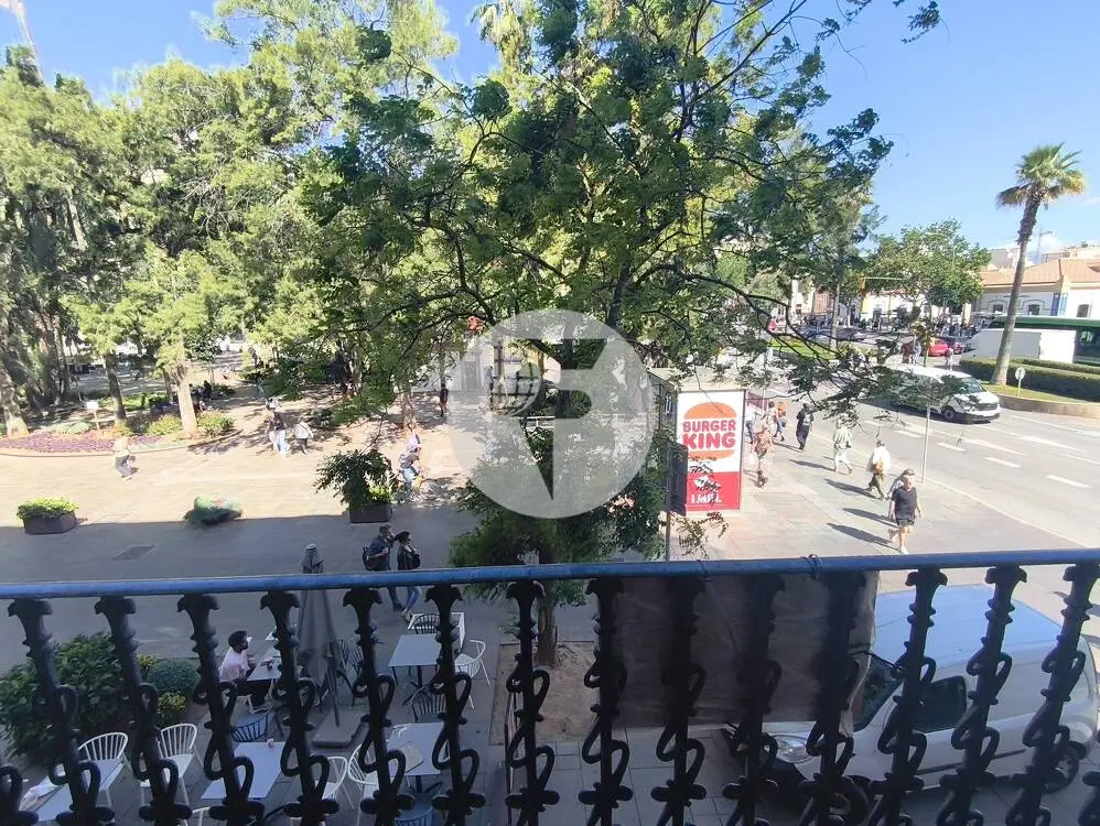 Exclusiva Oficina Señorial en Plaza de España, Palma de Mallorca - imagen 14