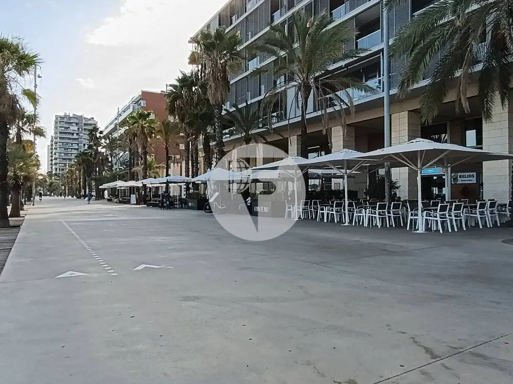 Traspaso de bar restaurante con licencia C3 y terraza frente al mar en Badalona - imagen 3