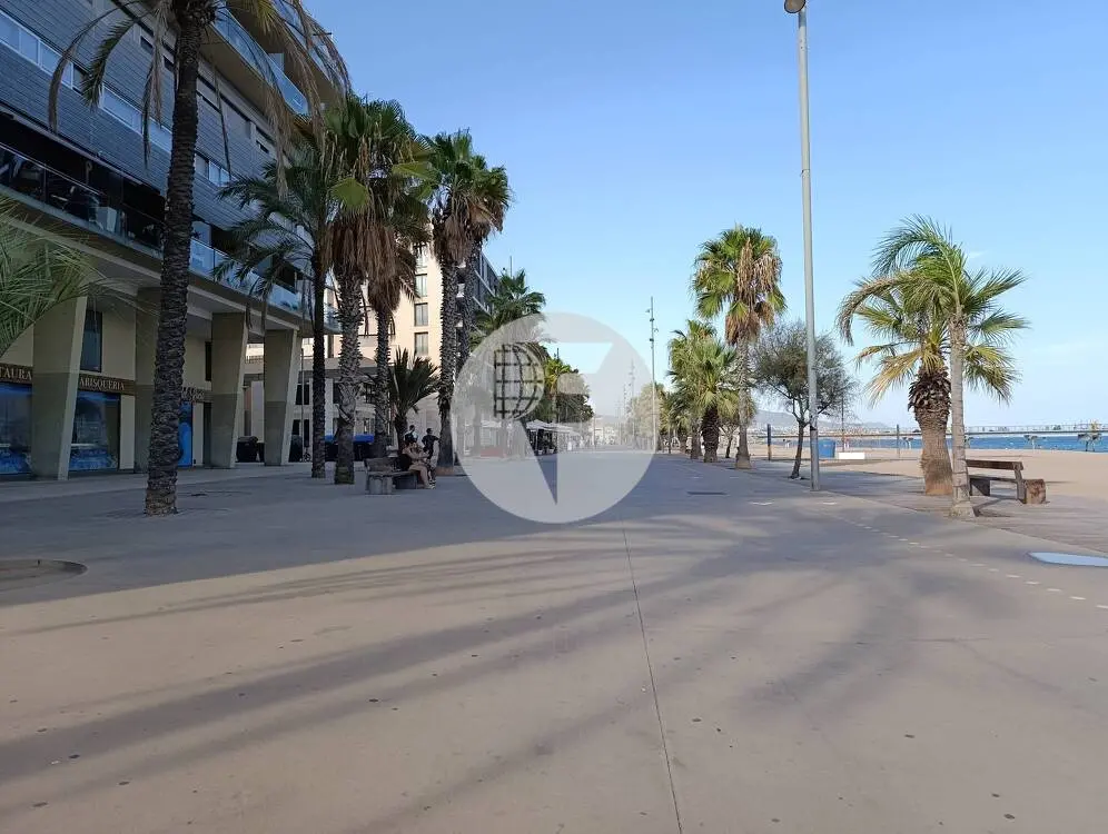 Traspaso de bar restaurante con licencia C3 y terraza frente al mar en Badalona - imagen 10