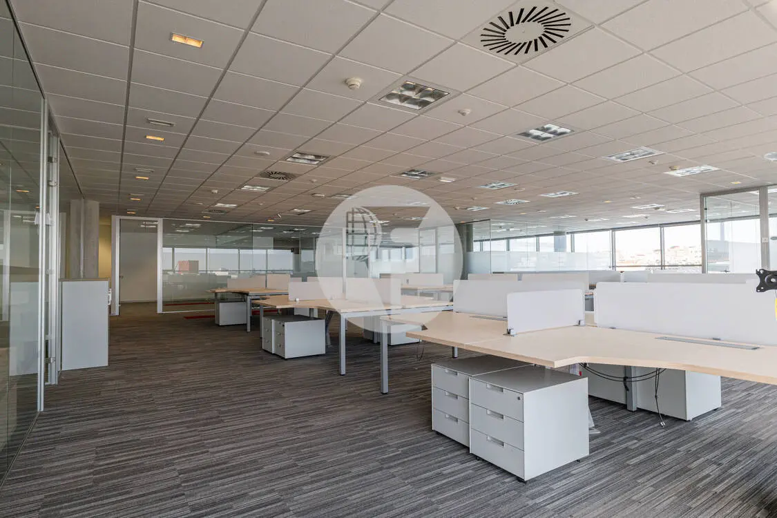 Office for rent in Madrid. Albasanz Street. 3