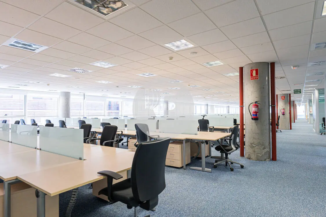 Office for rent in Madrid. Albasanz Street. 6